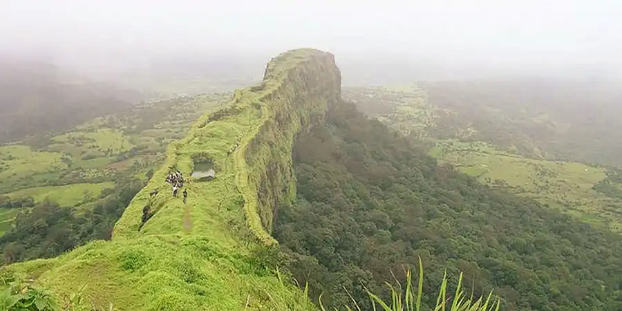 Horton Plains National Park safari