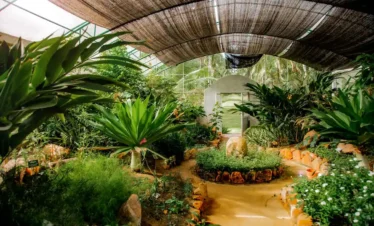 Medicinal Plant Gardens tours