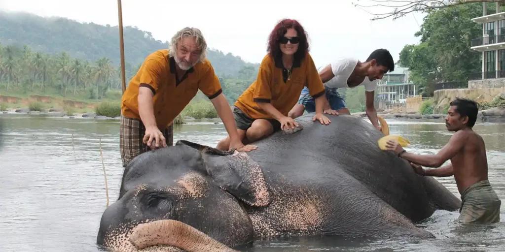 Pinnawala Elephant Orphanage Safari