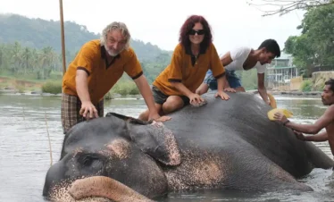 Pinnawala Elephant Orphanage Safari
