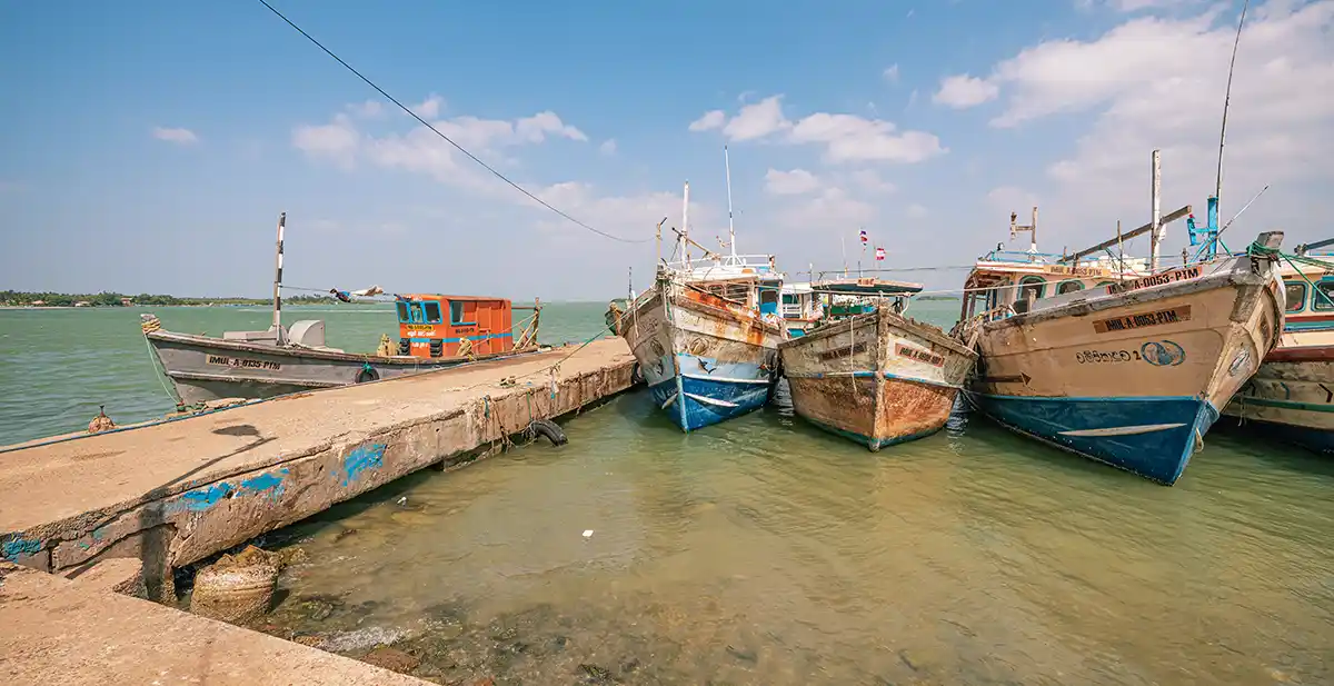 Kalpitiya City Tours