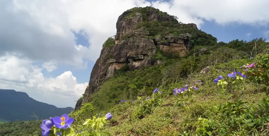 Knuckles Mountain Range Tours