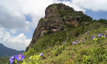 Knuckles Mountain Range Tours