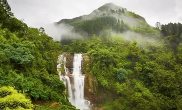 Knuckles Mountain Range Tours