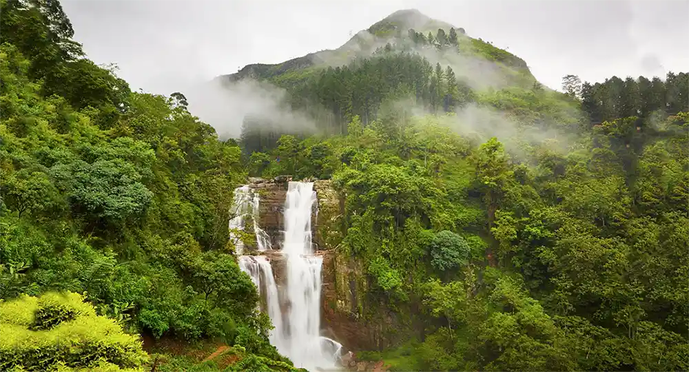 Knuckles Mountain Range Tours