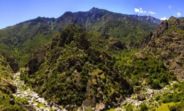 Knuckles Mountain Range Tours