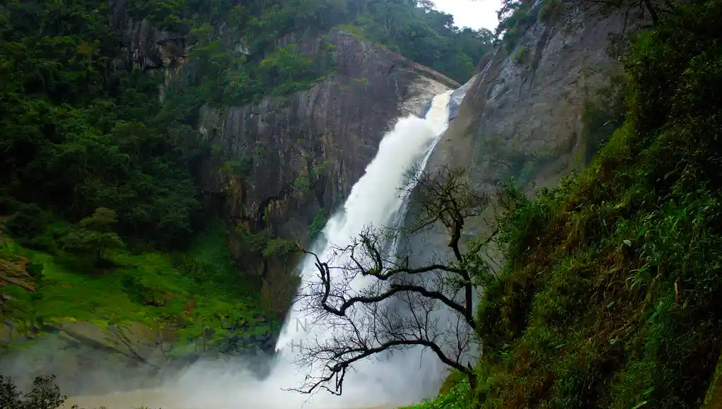 Dunhinda Fall Tours