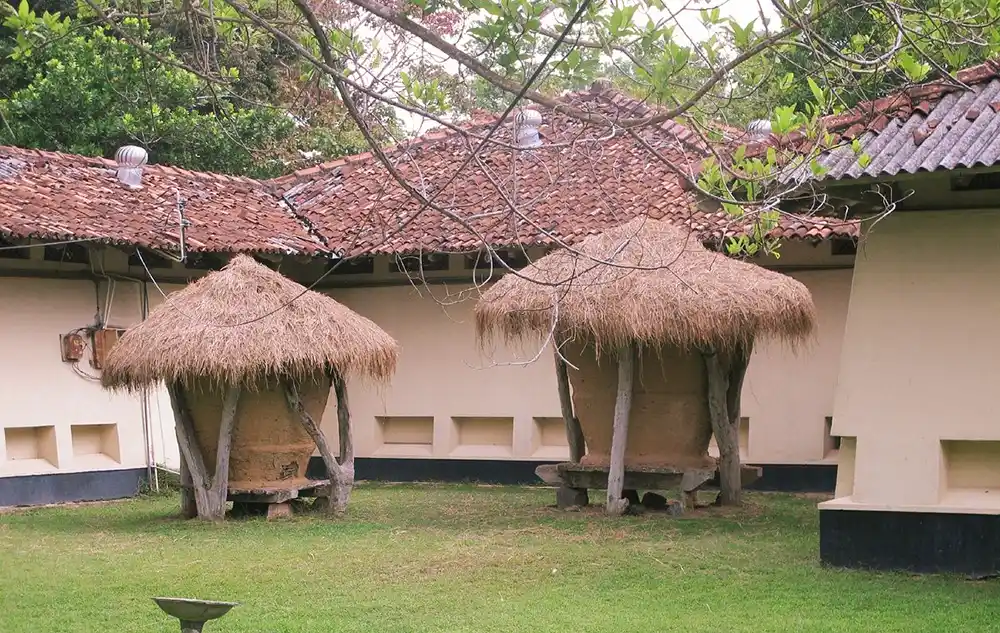 Martin Wickramasinghe Folk Museum tours