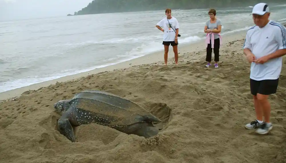 Unawatuna beach Tours