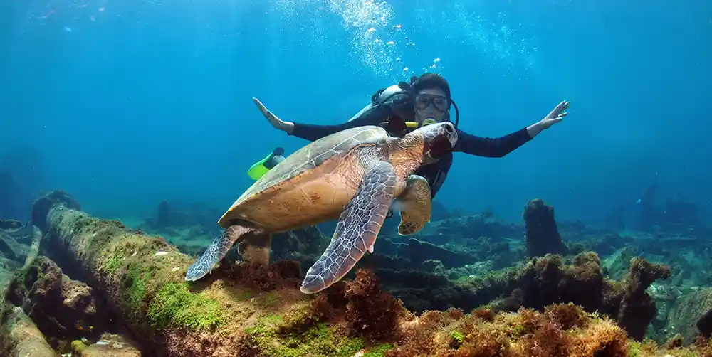 Unawatuna beach Tours